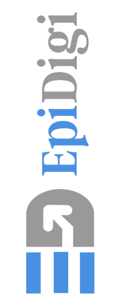 Digital Marketing Team at Epi Digi - Delhi